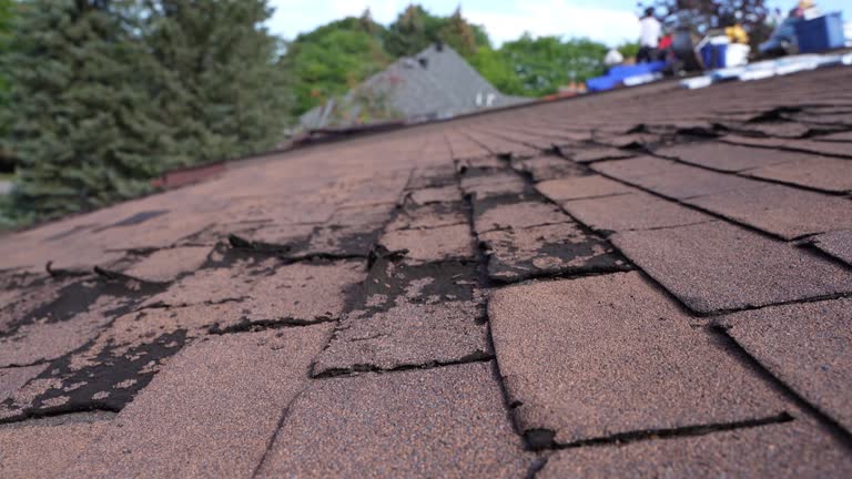 Best Emergency Roof Repair Services  in Dauphin Island, AL